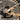 2025 EVade X10.0 Fat Bike